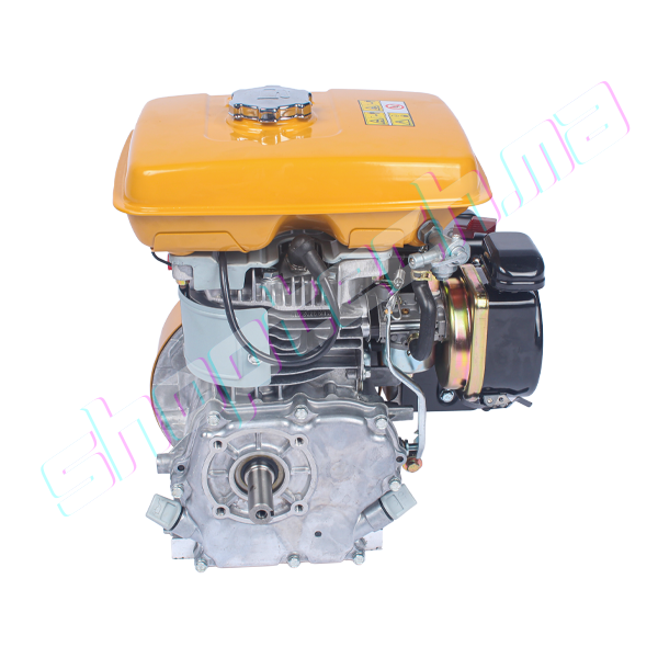 Moteur essence rb20-b filtre noir