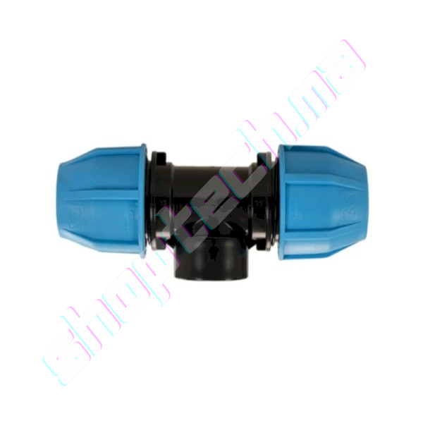 Tes femelle unidelta 75